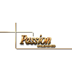 Passion Unleashed Experience